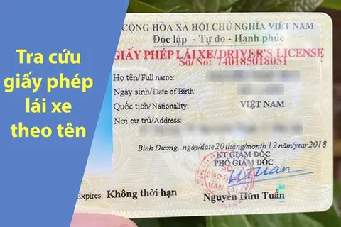 4 cách tra cứu giấy phép lái xe theo tên nhanh chóng, chính xác nhất 2025