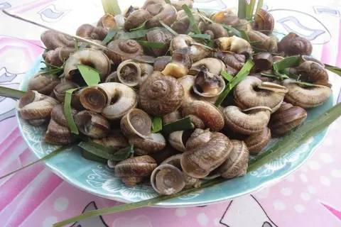 Hướng dẫn cách luộc ốc núi thơm ngon, không bị nhớt, ăn là nghiện