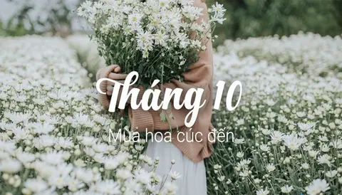 Status tháng 10 | Cap chào tháng 10 ngắn gọn, hài hước và ý nghĩa nhất