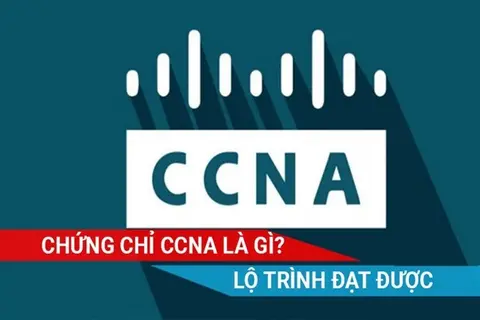 Chứng chỉ CCNA là gì? Mách bạn cách chinh phục CCNA hiệu quả từ lộ trình đơn giản