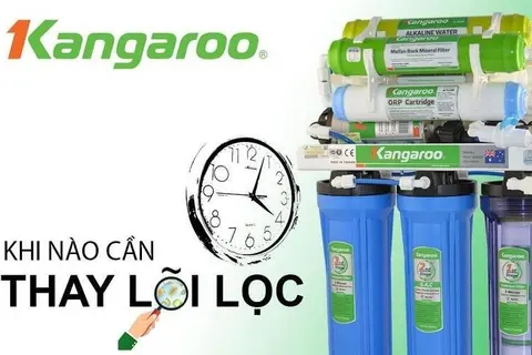 Thời gian thay lõi lọc nước Kangaroo là bao lâu? Top các sản phẩm lọc nước tốt nhất 2024