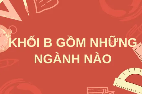 Khối B gồm những ngành nào? Học môn nào? Chọn ngành gì dễ tìm việc sau tốt nghiệp?