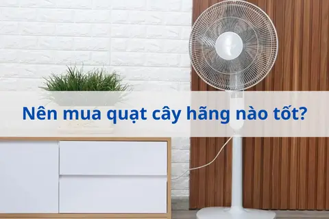 Nên mua quạt cây hãng nào tốt? Kinh nghiệm khi mua quạt cây đảm bảo chất lượng