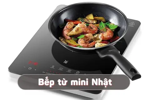 Tổng hợp 4 bếp từ mini Nhật: Thiết kế siêu gọn nhẹ, phù hợp với mọi gia đình Việt