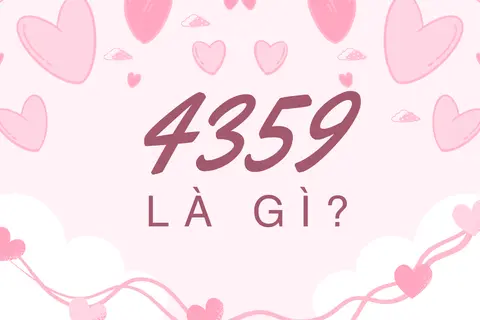 4359 là gì? Khi văn học trong chương trình phổ thông trở thành mật mã tình cảm của giới trẻ