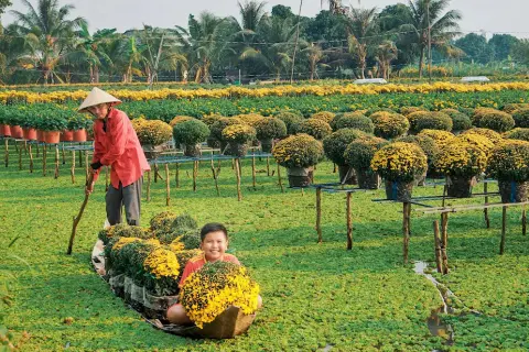 Xã Tân Dương của Đồng Tháp sau sáp nhập: Khởi đầu mới cho một trung tâm phát triển bền vững