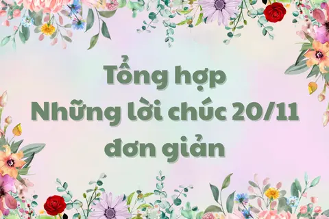 Tổng hợp những lời chúc 20/11 đơn giản mà ý nghĩa, giúp bạn gửi trọn lòng biết ơn đến thầy cô trong ngày đặc biệt