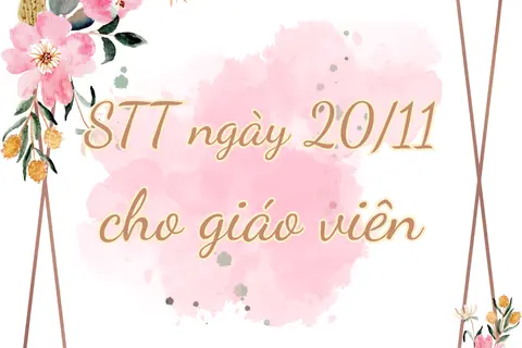 Gợi ý những STT ngày 20/11 cho giáo viên để bài đăng mạng xã hội thêm ý nghĩa