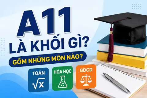 A11 là khối gì? Khối A11 gồm những môn nào, ngành học phù hợp và danh sách trường xét tuyển phổ biến