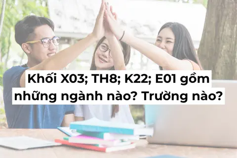 Khối X03; TH8; K22; E01 gồm những ngành nào? Trường nào đào tạo uy tín hiện nay?