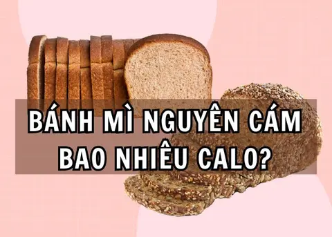 Bánh mì nguyên cám bao nhiêu calo? Ăn nhiều có béo không? Mẹo ăn bánh mì nguyên cám giảm cân hiệu quả