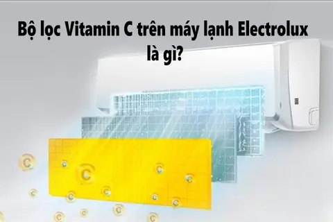 Bộ lọc Vitamin C trên máy lạnh Electrolux là gì? Khám phá giải pháp chăm sóc sức khỏe tại nhà