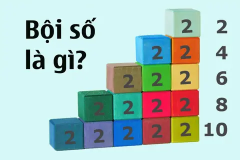 Bội số là gì? Khác gì so với bội chung? Tìm hiểu bội số đối với toán học cấp cao