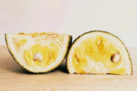 Cách bảo quản mít trong tủ lạnh để không bị lên men, không ám mùi cả ngăn tủ