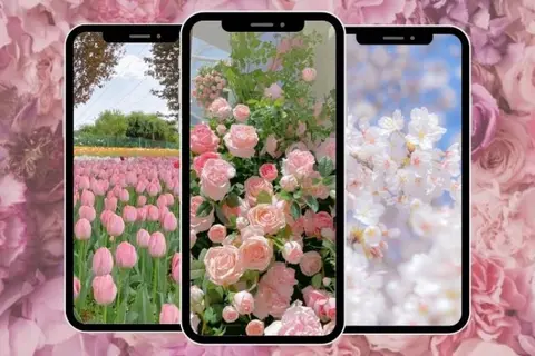 Bỏ túi ngay cách làm màn hình khóa thay đổi liên tục để có hình nền ấn tượng