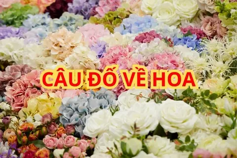 55+ câu đố về hoa thú vị giúp rèn luyện tư duy và khám phá vẻ đẹp tự nhiên