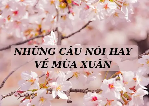 Tổng hợp câu nói hay về mùa xuân ý nghĩa, truyền cảm hứng và hy vọng trong năm mới