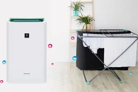 Giải thích chi tiết về cấu tạo máy hút ẩm Sharp: Hiểu đúng để sử dụng hiệu quả hơn