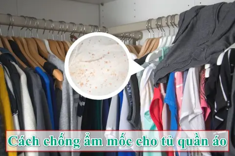 Bật mí cách chống ẩm mốc cho tủ quần áo hiệu quả, giữ quần áo luôn thơm tho