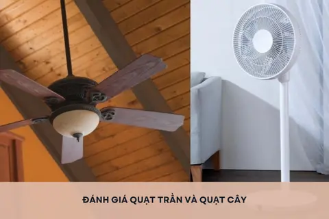 Đánh giá quạt trần và quạt cây: Lựa chọn nào phù hợp với phòng ngủ và phòng khách?