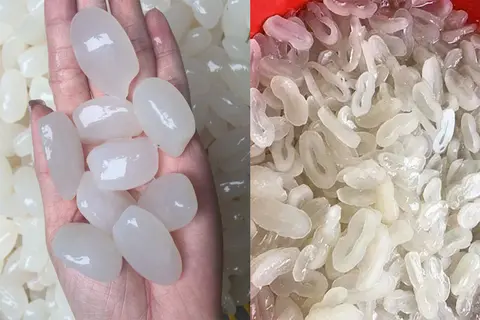 Hạt đác và thốt nốt có giống nhau không? Hướng dẫn phân biệt hạt đác và thốt nốt