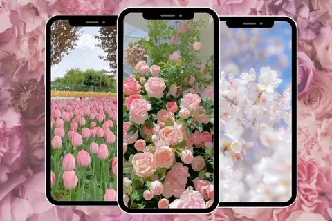 Tổng hợp hình nền hoa 4K, 8K đẹp nghệ thuật, tải miễn phí dành cho điện thoại và máy tính