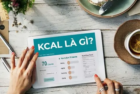 Kcal là gì? Giải thích chi tiết về đơn vị đo năng lượng trong thực phẩm và cách tính Kcal mỗi ngày