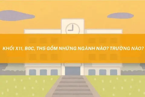 Khối X11, B0C, TH5 gồm những ngành nào? Trường nào xét tuyển năm 2026 - 2027?