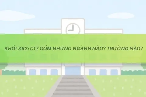 Khối X62; C17 gồm những ngành nào? Trường nào xét tuyển mới nhất 2026 - 2027