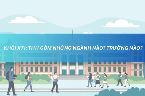 Khối X71; TH11 gồm những ngành nào? Trường nào? Tổng hợp ngành học và trường xét tuyển mới nhất