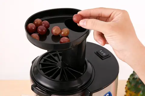 Đánh giá máy ép chậm Bluestone SJB-6556 có tốt không? Có nên chọn mua?