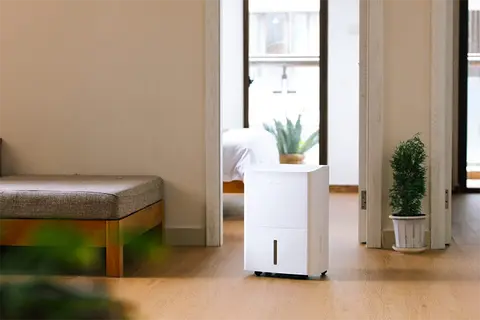 Máy hút ẩm 20 lít phù hợp với không gian nào? 5 model nổi bật cho phòng ngủ, phòng khách gia đình