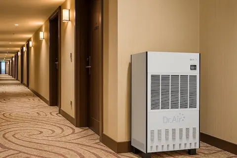 Máy hút ẩm khách sạn loại nào phù hợp? Tiêu chí lựa chọn cho không gian lưu trú