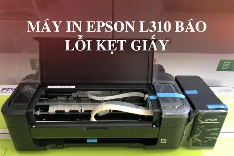 Máy in Epson L310 báo lỗi kẹt giấy: Nguyên nhân và cách khắc phục nhanh chóng