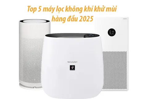 Top 5 máy lọc không khí khử mùi tốt nhất 2025 - Giải pháp đánh bay mùi khó chịu cho gia đình