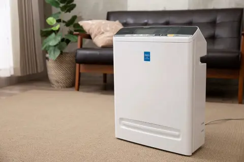 Mua máy lọc không khí IRIS OHYAMA ở đâu uy tín? Gợi ý nơi bán chính hãng, bảo hành rõ ràng