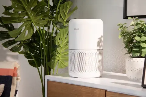 Mua máy lọc không khí Levoit ở đâu uy tín? Top các mẫu máy lọc không khí Levoit bán chạy