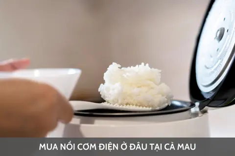 Nên mua nồi cơm điện ở đâu tại Cà Mau? Khám phá 6 nồi cơm điện giá rẻ dành cho sinh viên