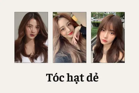 Top 10 màu tóc nâu hạt dẻ đẹp tự nhiên, siêu tôn da, đang dẫn đầu xu hướng hiện nay