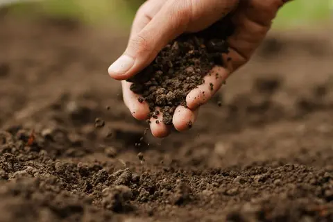 Ngành Quản lý đất đai học gì? Cơ hội nghề nghiệp của ngành Quản lý đất đai ra sao?