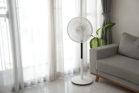 Tìm mua quạt cây đứng tốt nhất 2025: Gợi ý sản phẩm chất lượng với mức giá hợp lý