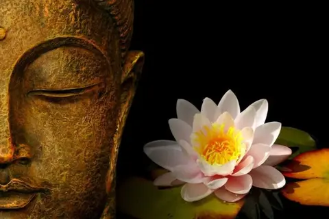 Sân si là gì? Tìm hiểu những vấn đề xoay quanh tâm lý sân si và tác hại của sân si trong cuộc sống