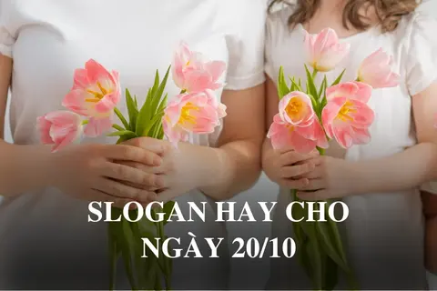 Tổng hợp slogan hay cho ngày 20/10: Gửi trọn những lời yêu thương đến phái đẹp