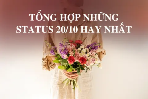 999+ Status 20/10 và lời chúc cho tất cả phụ nữ hay và ý nghĩa nhất nhân ngày Phụ nữ Việt Nam
