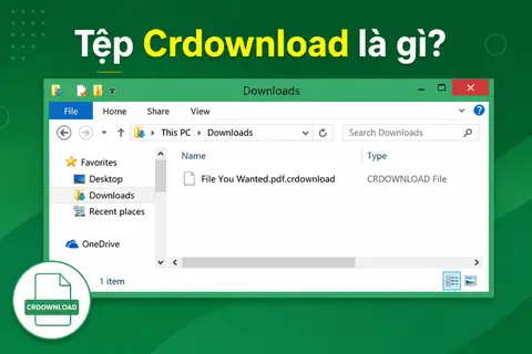 Tệp Crdownload là gì? Vì sao file Crdownload lại xuất hiện trên Google Chrome?