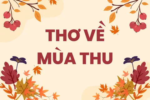 Tuyển tập thơ về mùa thu – Góp nhặt vần thơ lãng mạn và hoài niệm, khiến lòng chậm lại giữa bộn bề