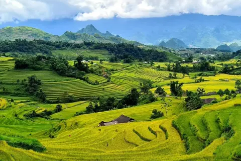 Hướng dẫn tra cứu nhanh 38 phường, xã của tỉnh Lai Châu mới