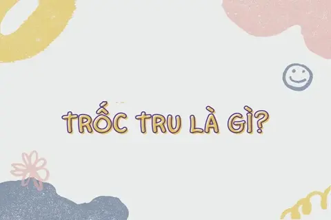Trốc tru là gì? Giải thích ý nghĩa và cách sử dụng từ địa phương Nghệ An này