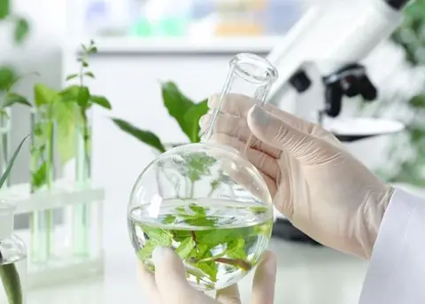 Xăng sinh học và khí sinh học là gì? Tiềm năng phát triển năng lượng xanh tại Việt Nam