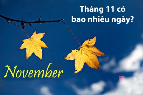 Tháng 11 có bao nhiêu ngày theo lịch Âm và lịch Dương? Những ngày lễ tháng 11